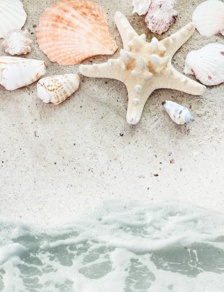 Playa de mar con conchas Frontera — Foto de Stock