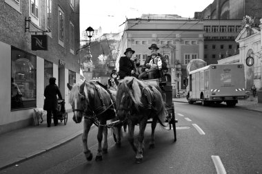 Binicilik horses şehir merkezi Salzburg, Avusturya