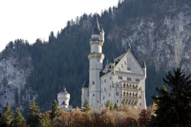 Almanya 'daki Neuschwanstein kalesi