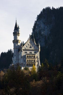 Almanya 'daki Neuschwanstein kalesi