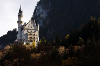 Almanya 'daki Neuschwanstein kalesi