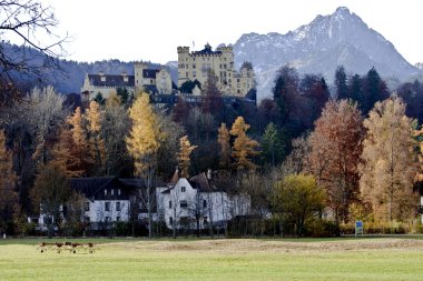 Almanya'da castle Hohenschwangau