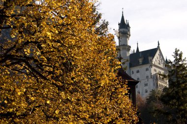 Almanya 'daki Neuschwanstein kalesi