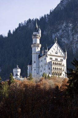 Almanya 'daki Neuschwanstein kalesi