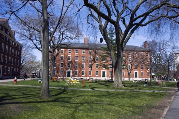 Harvard kampüs