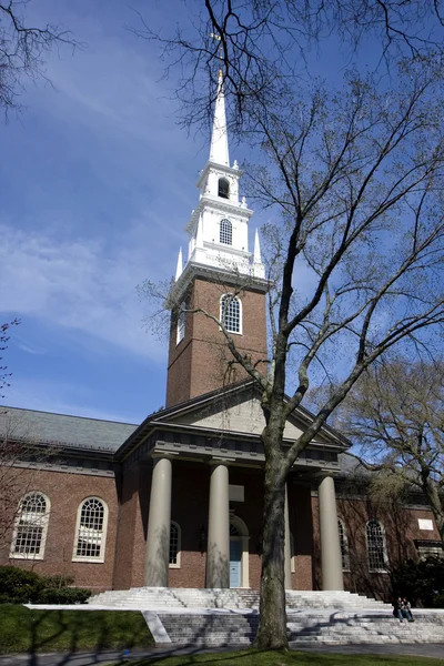 Harvard kampüs — Stok fotoğraf