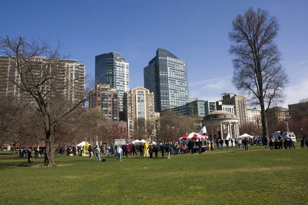 stock image Pond in Boston Common garden