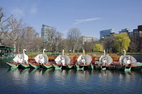 stock image Pond in Boston Common garden