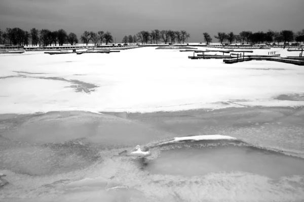 Kış michigan Gölü kıyısında — Stok fotoğraf