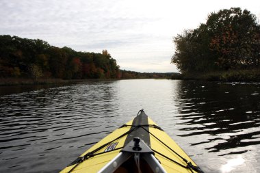 walden pond tekne