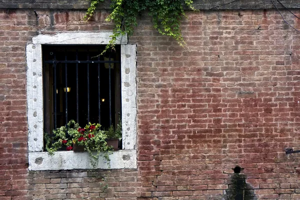 Tuğla duvar ve Venedik bir pencerede — Stok fotoğraf