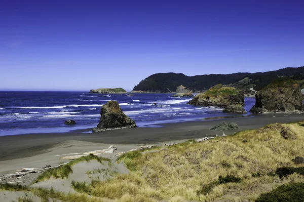 Pazifikküste — Stockfoto