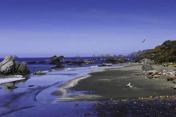 北海岸の砂浜ビーチ — ストック写真