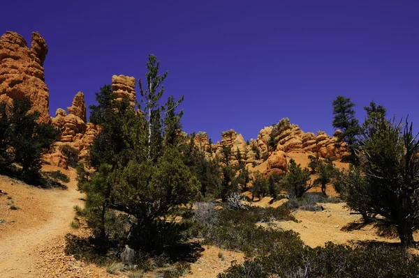 Rood canyon, utah — Stockfoto