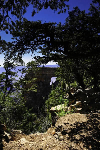 stock image Angel Point