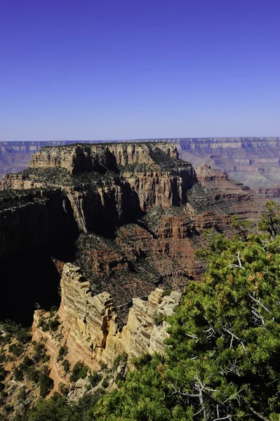 Parc national du Grand Canyon, Arizona. Bordure nord — Photo