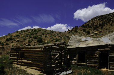 terk edilmiş homestead