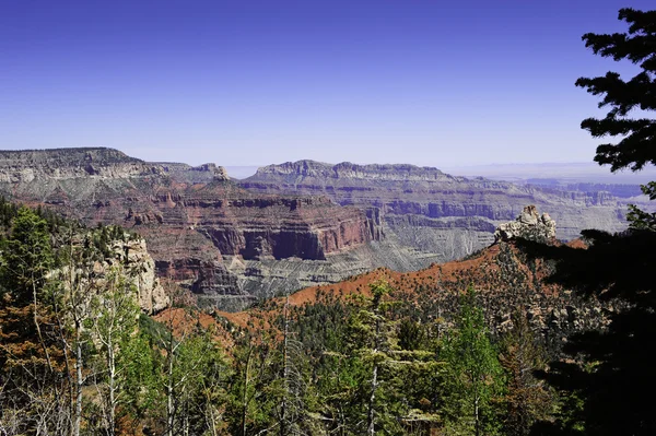 Grand Canyon am Nordrand — Stockfoto