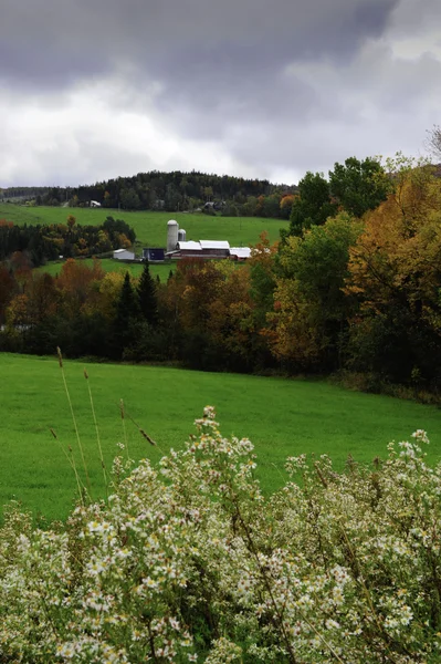 Granja Vermont en otoño —  Fotos de Stock