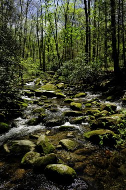 Dumanlı Dağı Milli Parkı