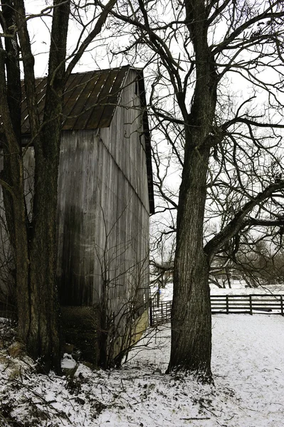 Stodola v zimě — Stock fotografie