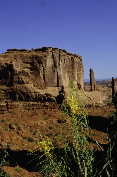 Formacja skalna arches national park — Zdjęcie stockowe