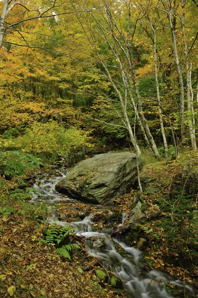 Vermont na podzim — Stock fotografie