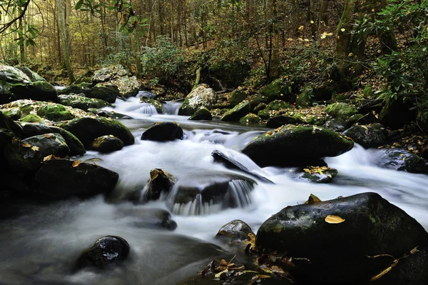 Bach fließt durch rauchigen Berg-Nationalpark — Stockfoto