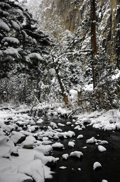 Nieve en el cañón —  Fotos de Stock