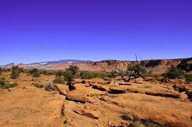 Red Rocks and Desert clipart