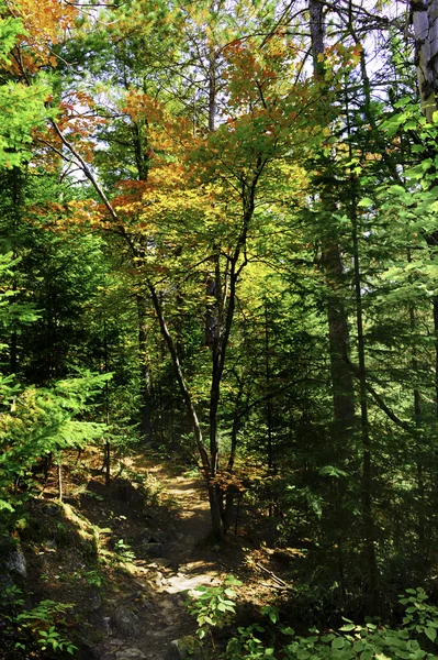 Podzim v Nové Anglii — Stock fotografie