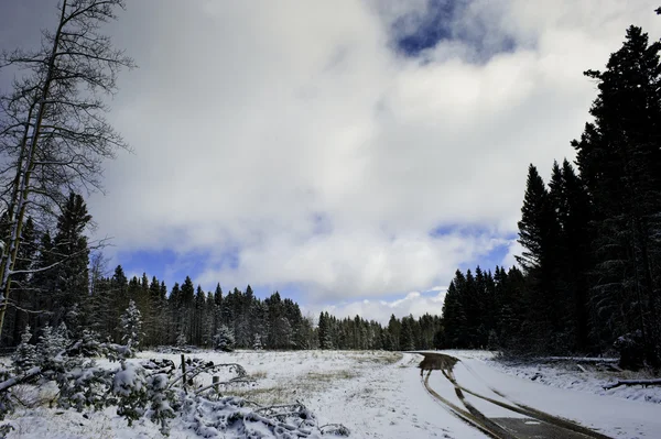 Droga wiejska zimą — Zdjęcie stockowe