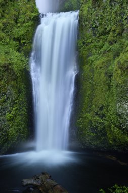 Multnomah Falls clipart