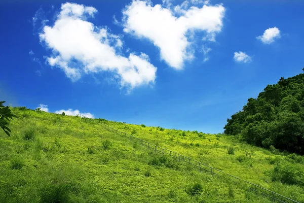 Северные горы и зеленая трава — стоковое фото