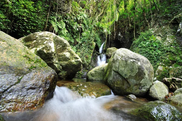 A vízesés az esőerdő tavába vezet. — Stock Fotó