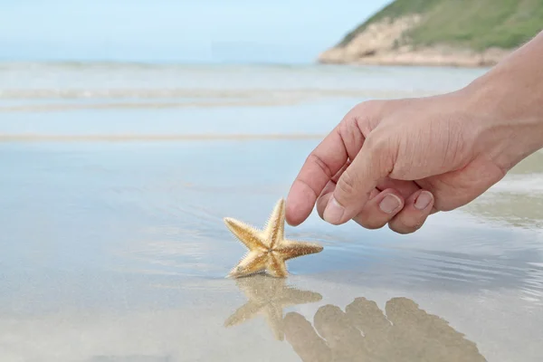 Main touchant l'étoile de mer — Photo