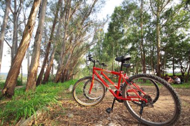 Bike in forest clipart