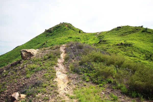 dağ yolu