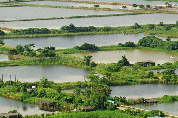 Çin'de pirinç Teras manzarası — Stok fotoğraf