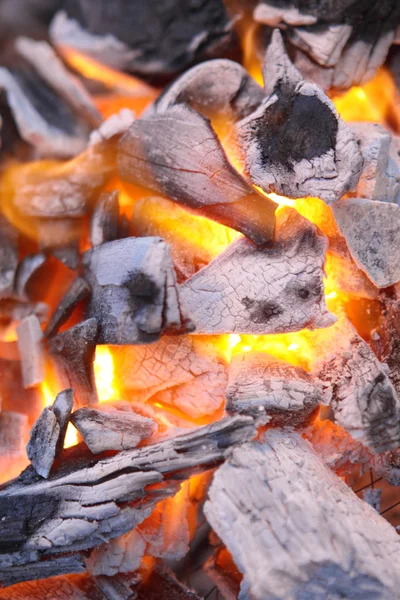 Chátrající rudé uhlíky stromu v ohni — Stock fotografie