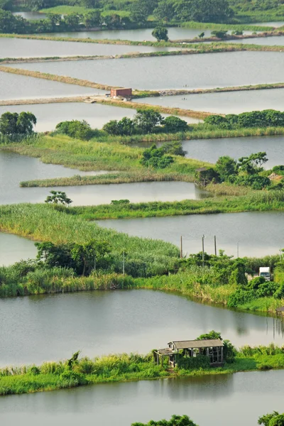 Рисові тераси краєвид в Китаї — стокове фото