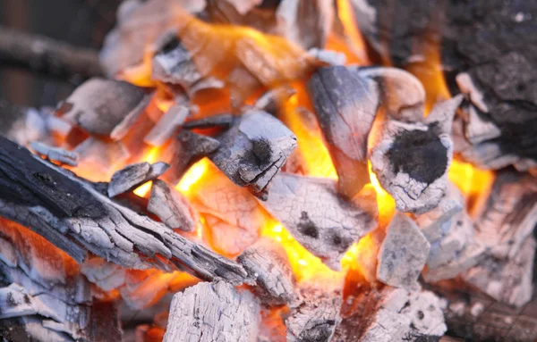 火災でツリーの腐りかけの赤い石炭 — ストック写真