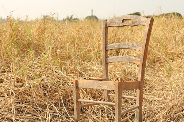 黄色の草に壊れた椅子 — ストック写真