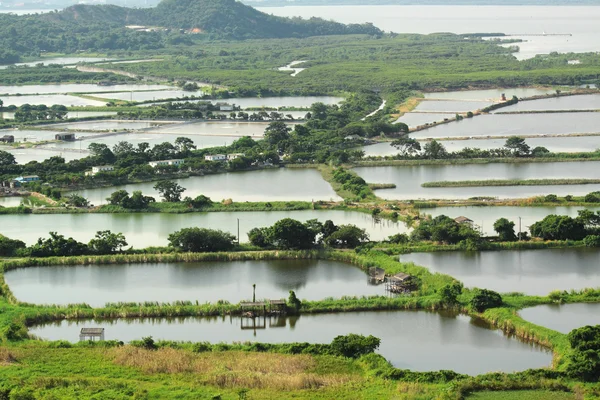Terrazza di riso paesaggio in Cina — Foto Stock