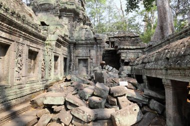 Roots over Angkor Wat ruins clipart