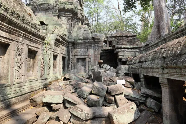 Коріння над руїнами Ангкор-Ват — стокове фото