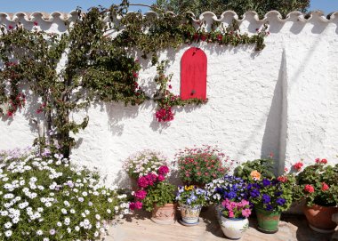 Corner of a Spanish Mediterraneab Garden clipart