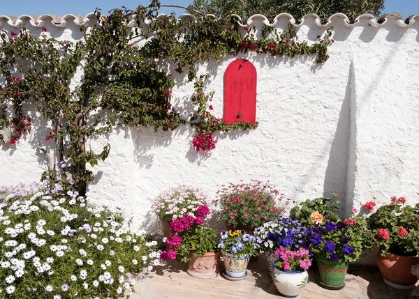 Hoek van de tuin van een Spaanse mediterraneab — Stockfoto