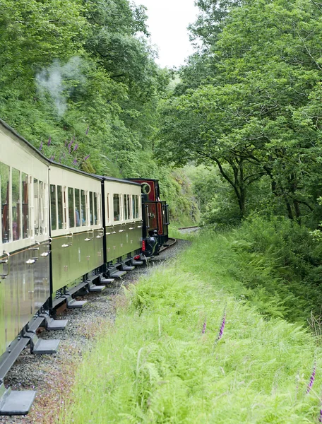 Железнодорожная линия Рейдола — стоковое фото