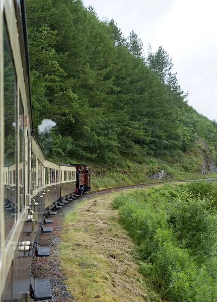 Vale Rheidol залізничної лінії — стокове фото